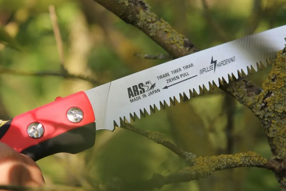 ARS CAM-24PRO Hölstersåg