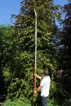 ARS EXP-3.3 Stångsåg