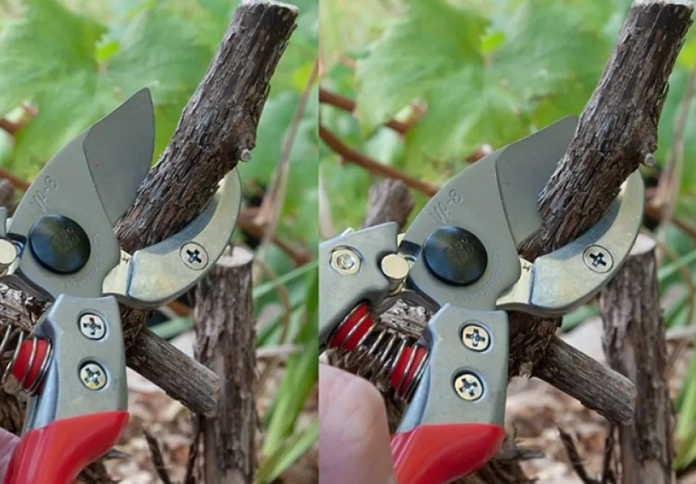ARS Pro Anvil VA-7Z Sekatör