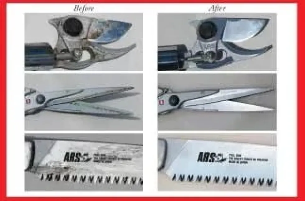 ARS Rengörningsspray 100ml
