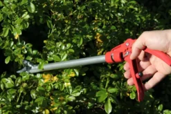 ARS Rose Pruner Stångsekatör 60cm