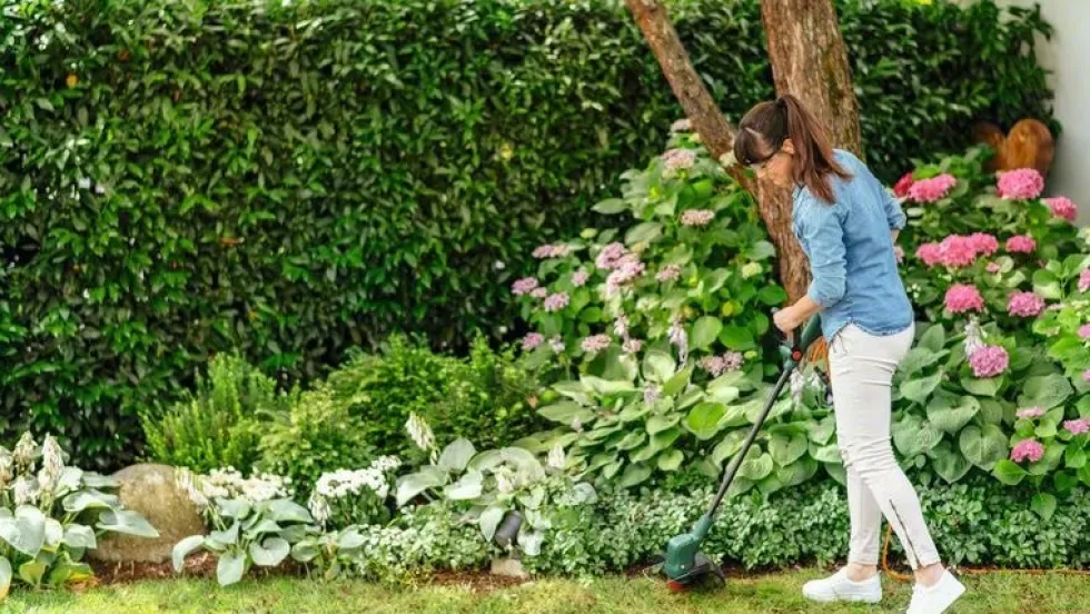 Bosch Grästrimmer Easygrasscut 23