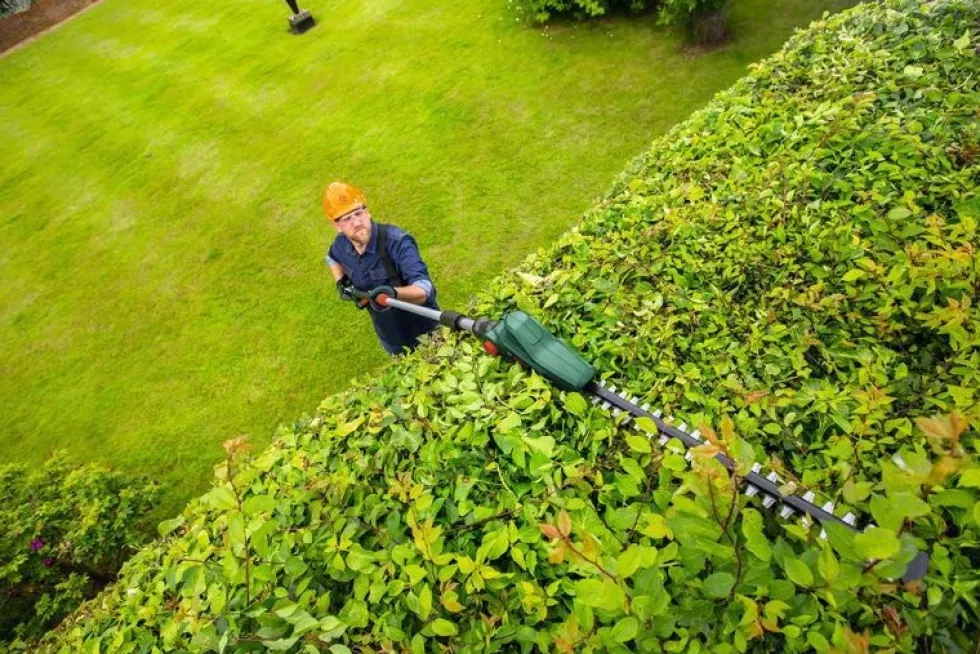 Bosch Häcksax Universal Hedge Pole 18V med 1x2Ah batteri & laddare