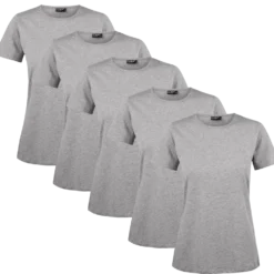 Clique T-shirt Dam 5-pack Grå Melange