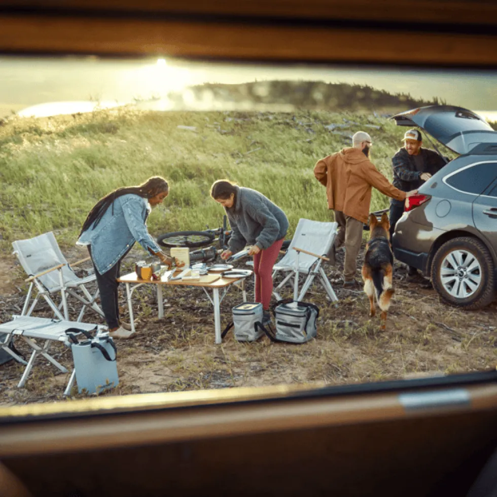 Dometic GO Compact Campingbord