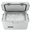 Dometic Patrol 35 Kylbox Mist
