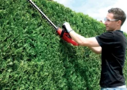 Einhell GH-EH 4245 Elektrisk häcksax