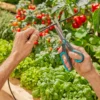 Gardena AquaBloom Set L Solcellsbevattning