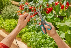 Gardena AquaBloom Set L Solcellsbevattning