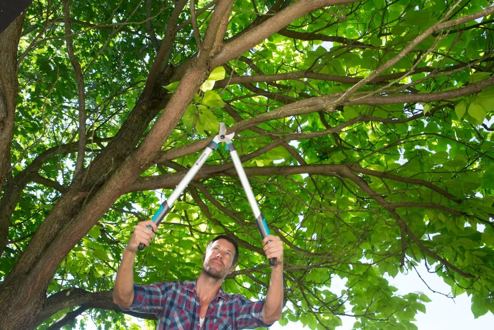Gardena EasyCut 680 B & Classic Grensax