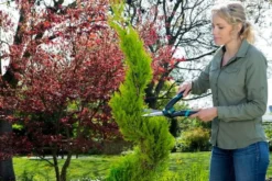 Gardena Häcksax PrecisionCut