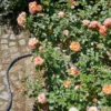 Gardena Liano Textilslang 20m