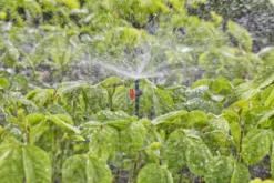 Gardena Micro Sprinkler 360°