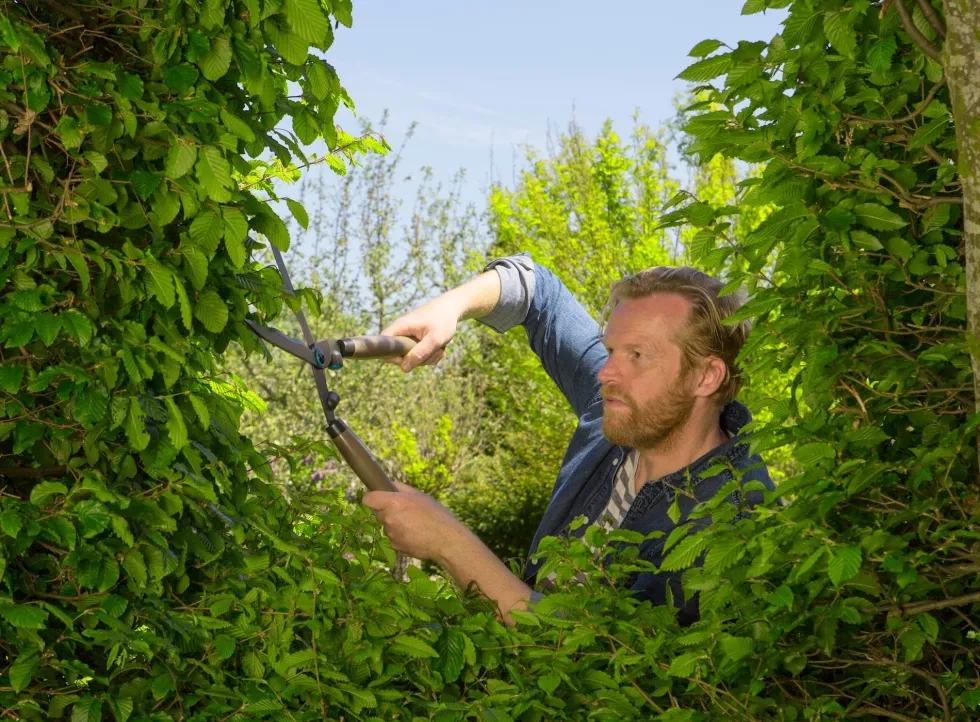 Gardena NatureCut Häcksax