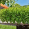 Gardena Set droppslang