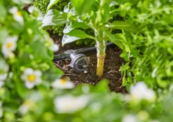 Gardena Startset för pallkragar
