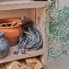 Gardena Textilslang Liano™ Life 30m 1/2" set med strålmunstycke