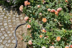 Gardena Textilslang Liano 15m