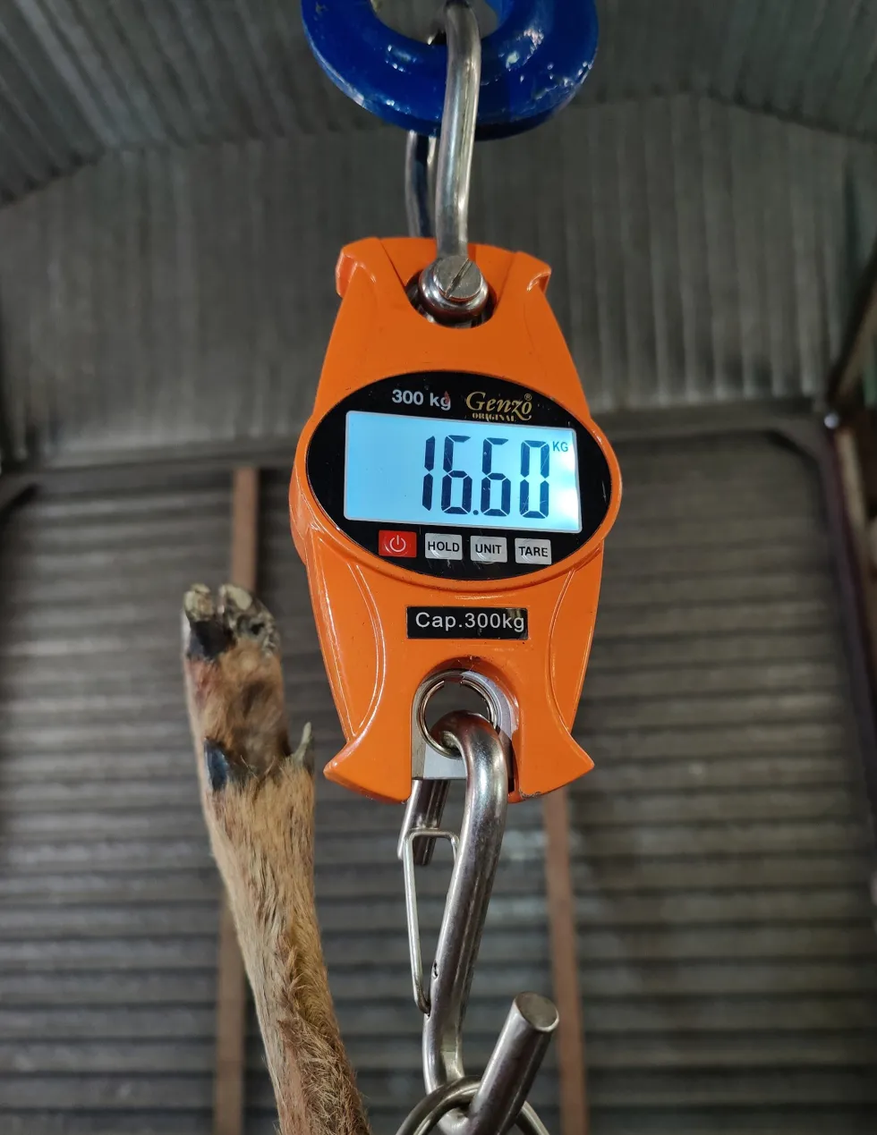 Genzo Hängvåg Digital 300 kg