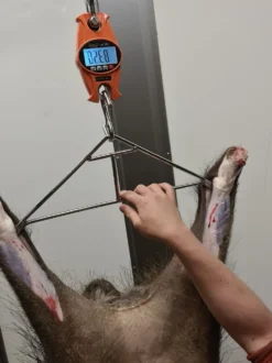 Genzo Hängvåg Digital 300 kg