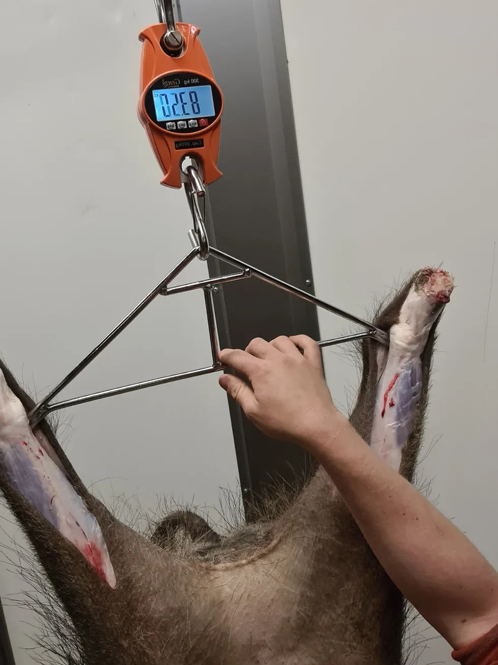 Genzo Hängvåg Digital 300 kg