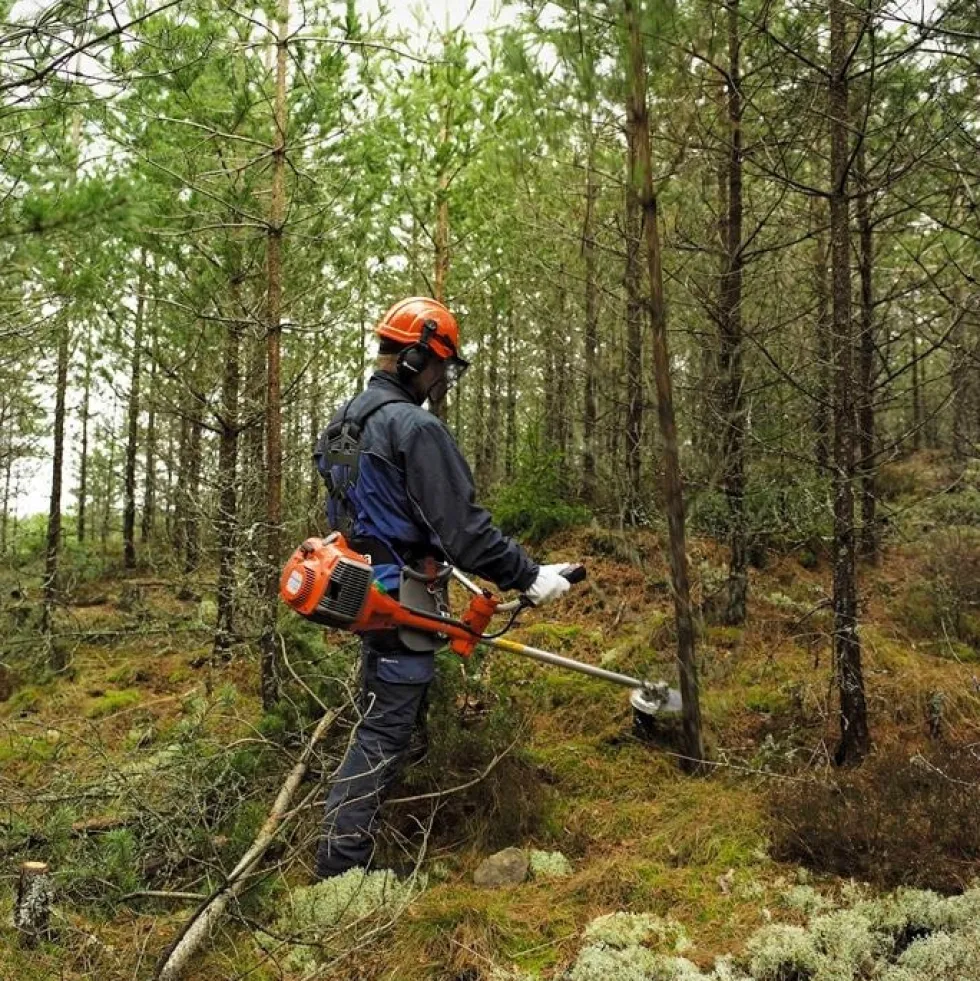 Husqvarna 545FX AutoTune™ Skogsröjsåg