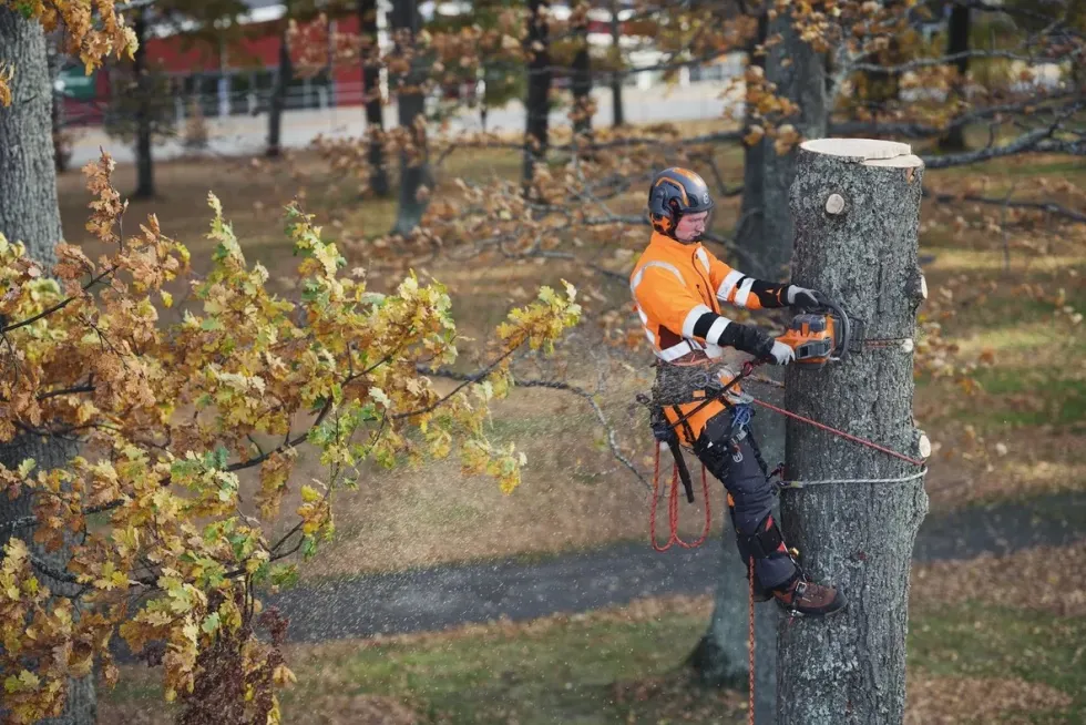 Husqvarna 550i XP G Batterimotorsåg 15"