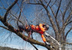 Husqvarna Klättersele