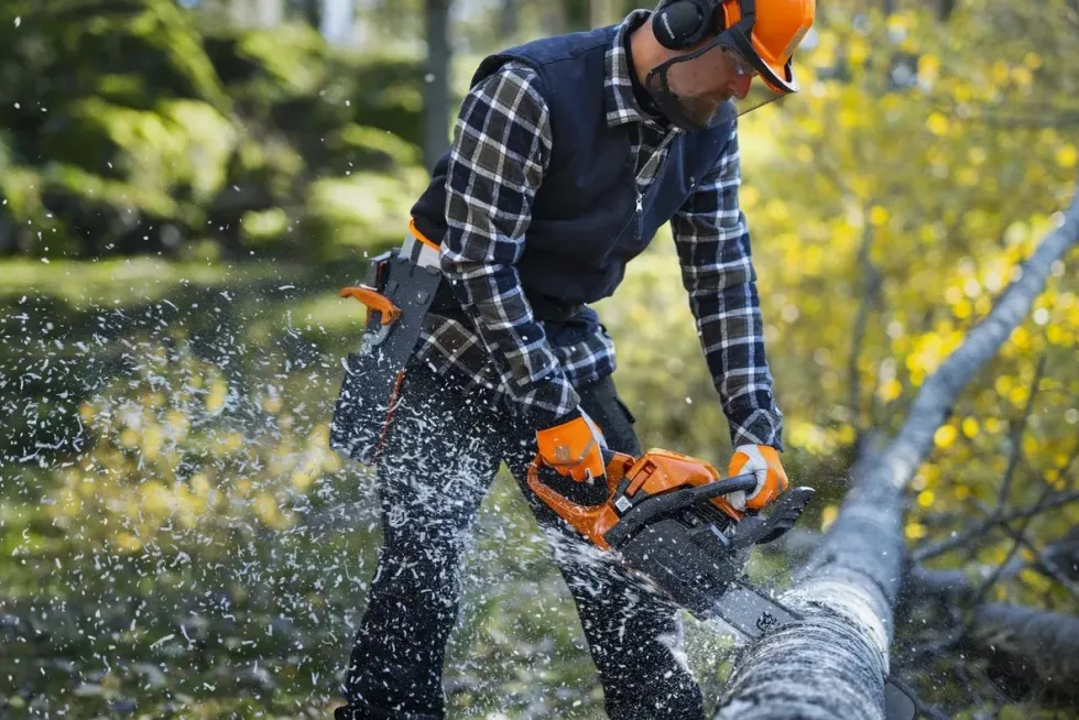 Husqvarna 445S Motorsåg inkl. 13" skärutrustning