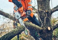 Husqvarna T542i XP Batterimotorsåg