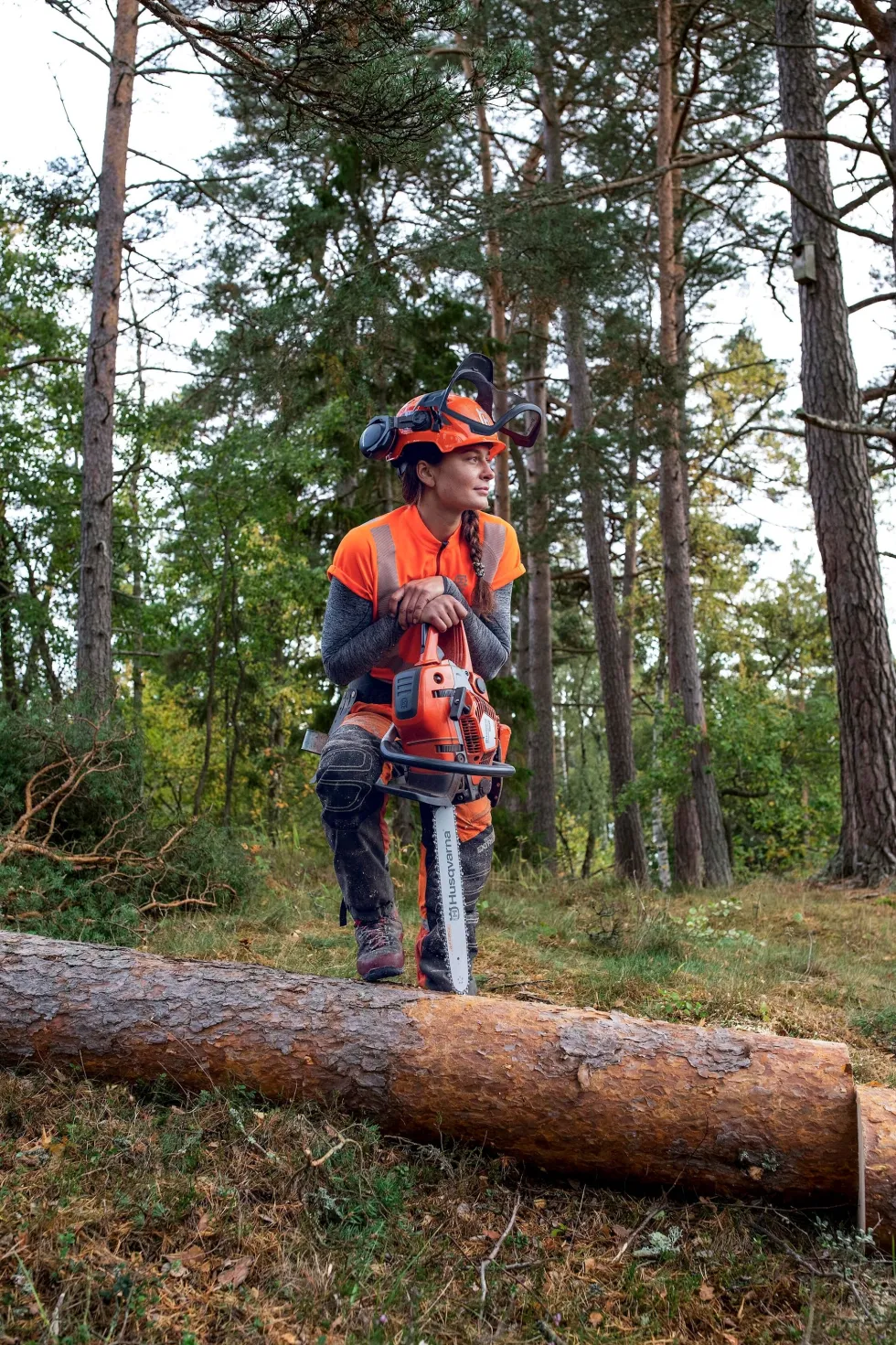 Husqvarna 550 XPG Premiumpaket Motorsågskörkort