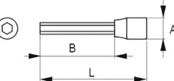 Irimo Bitshylsa 1/2'' Insex 100mm