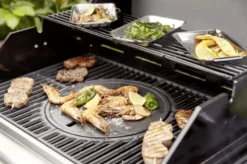Landmann Triton maxX PTS 3.1 Stainless Steel Moduluspaket