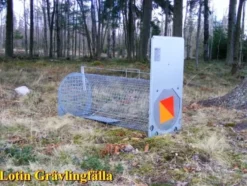 Lotin Grävlingfälla, monterad
