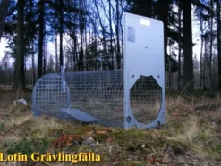 Lotin Grävlingfälla, monterad