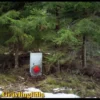 Lotin Grävlingfälla omonterad