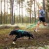 Non-Stop Dogwear Bungee Leash, Aqua, 2,8m