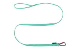 Non-Stop Dogwear Bungee Leash, Aqua, 2m