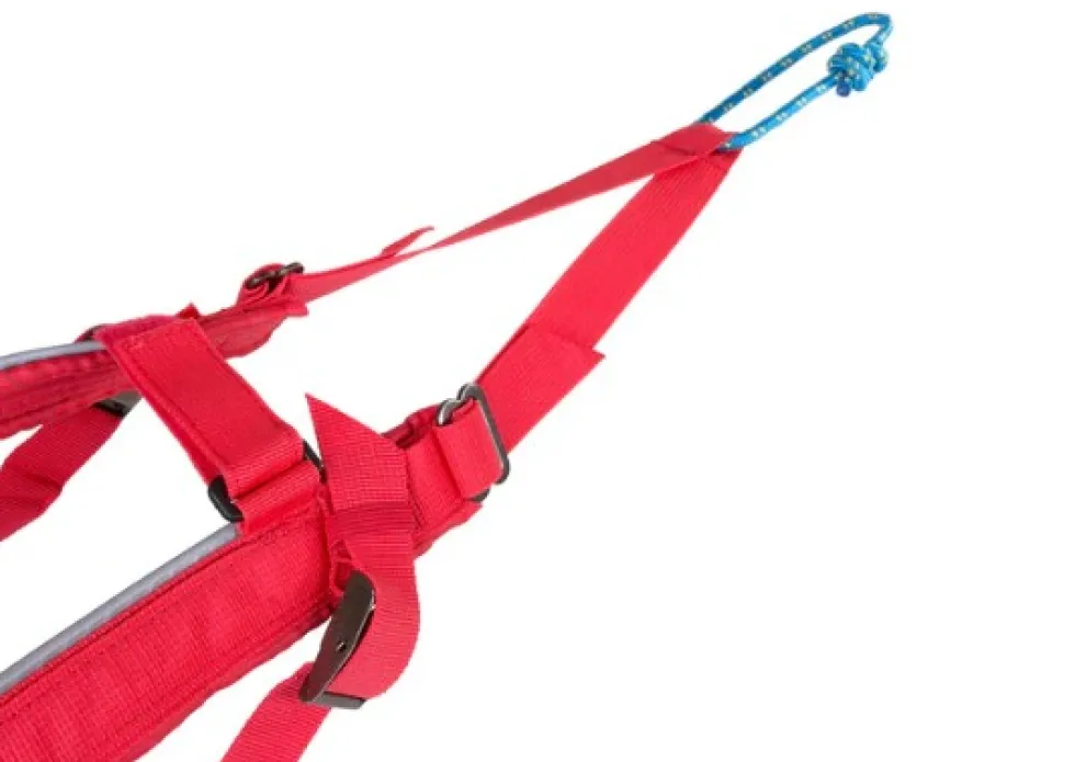 Non-Stop Dogwear Combined harness Red