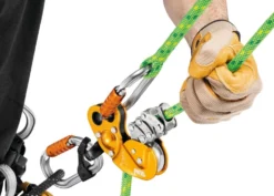 Petzl Flow 11.6 mm 60m Rep