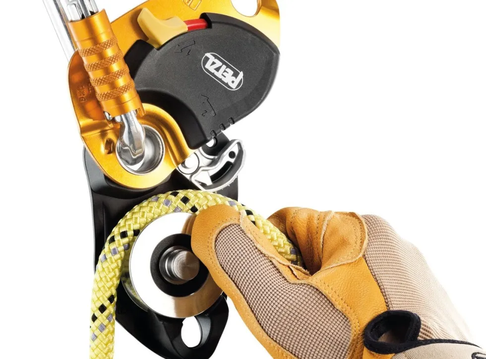 Petzl Pro Traxion Repblock