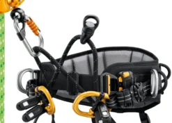 Petzl Sequoia 70-93cm Arboristsele