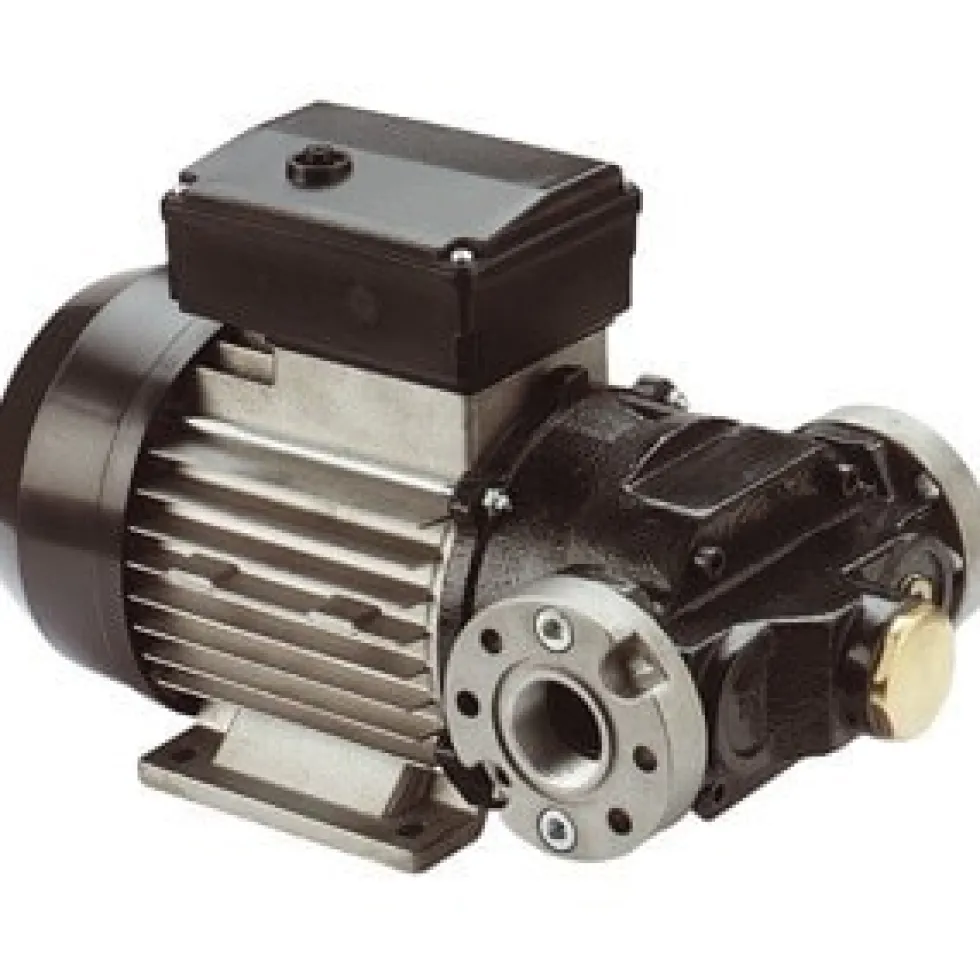 Piusi Dieselpump 75 L Endast Pump