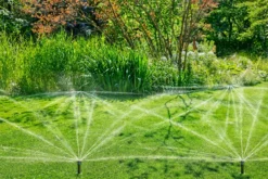 Pop-up Sprinkler MD80
