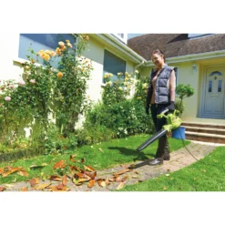 Ryobi RBV3000CSV Lövblås/ sug 230v