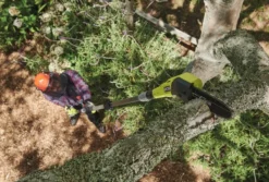 Ryobi RY18PP20A-0 Teleskopisk grensåg 20 cm 18V ONE+