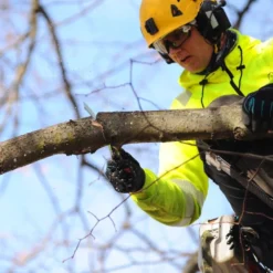 Silky Zubat Prof Arborist handsåg