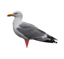 Siluettbulvan Mås 2-pack – Lockfågel
