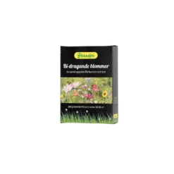 Skånefrö Bi-dragande blommor