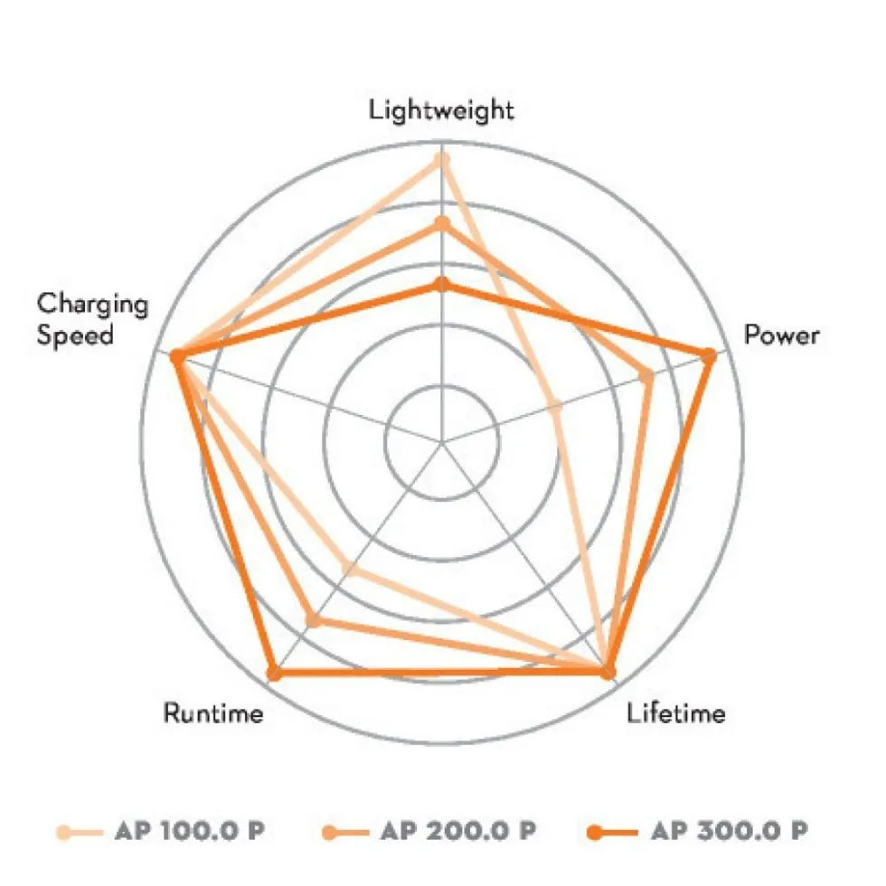 Stihl AP 300 P ALLPRO Max 40V Batteri
